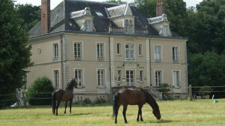 Domaine De Bel Air Hotel Cerans-Foulletourte Luaran gambar